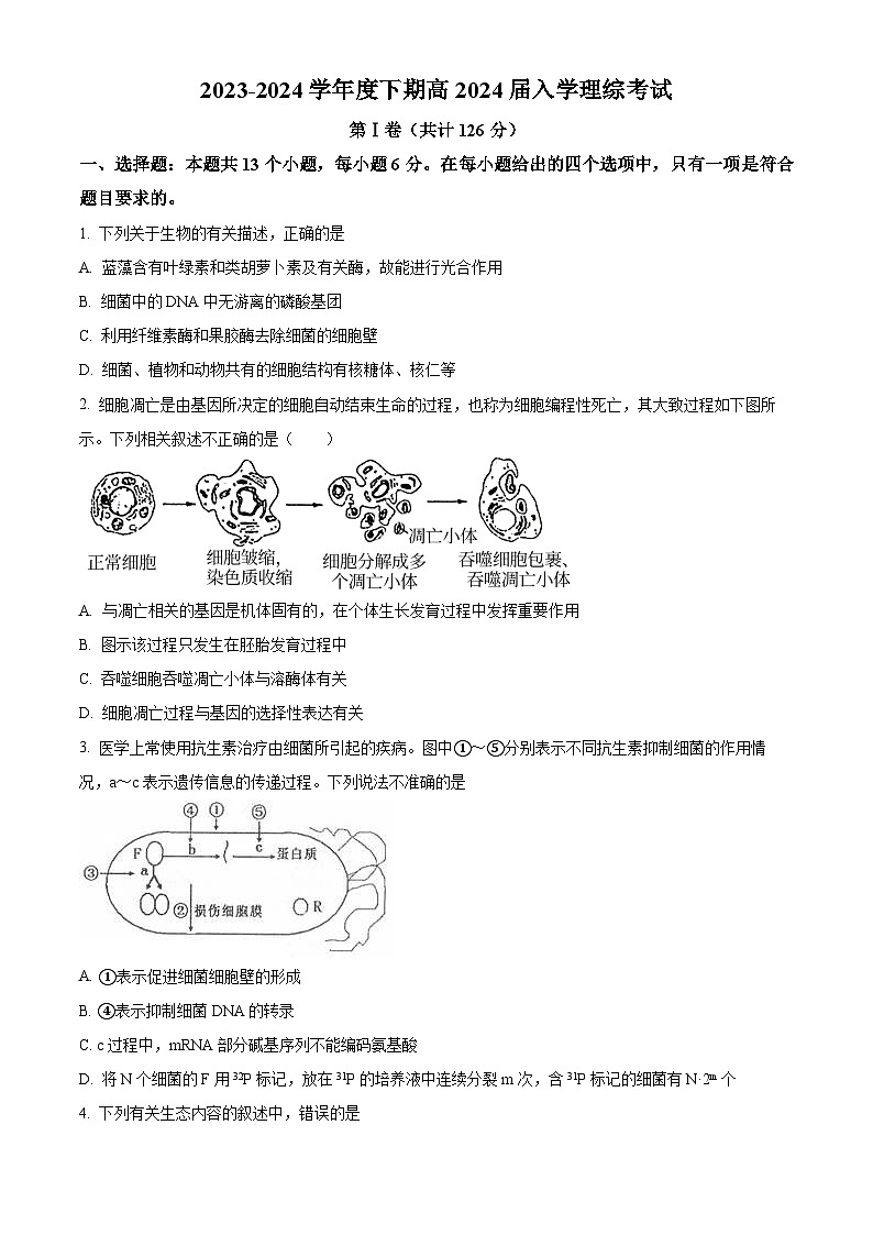 四川省成都市武侯区某校2023-2024学年高三下学期入学考试生物试题(Word版附解析)01