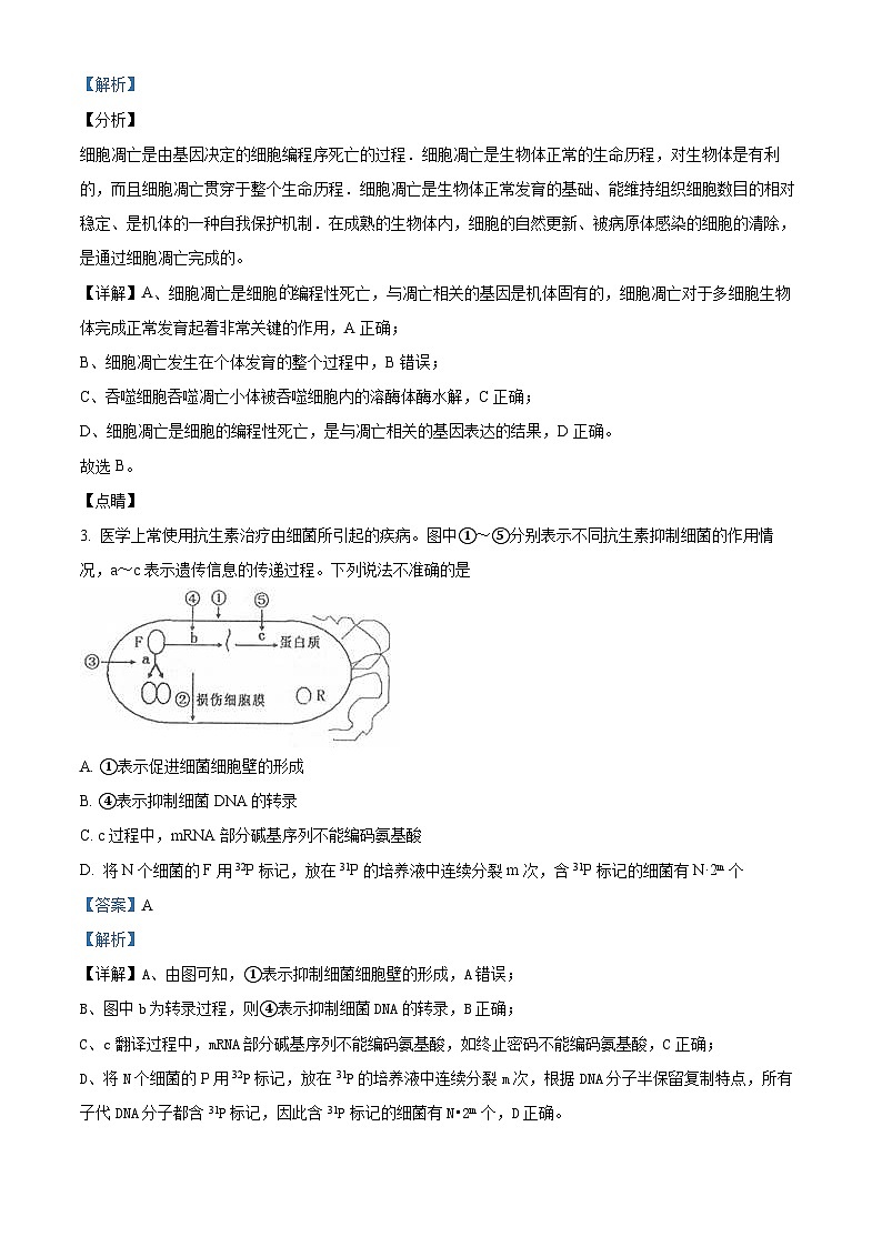 四川省成都市武侯区某校2023-2024学年高三下学期入学考试生物试题(Word版附解析)02