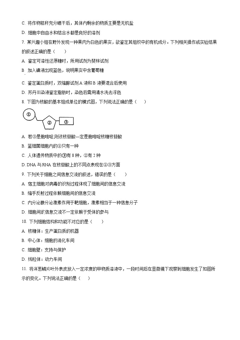 四川省泸州市泸县四中2023-2024学年高一下学期开学考试生物试题(Word版附解析)02