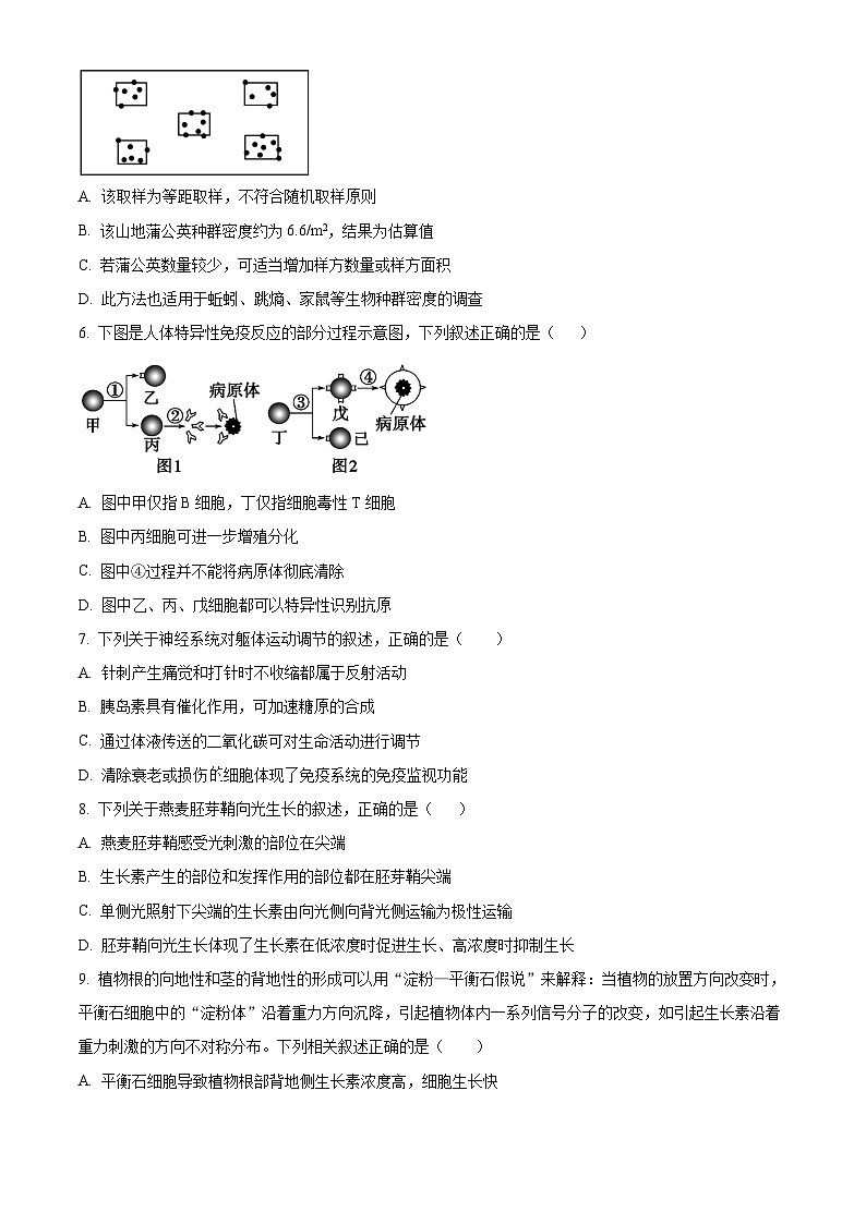 四川省泸州市泸县五中2023-2024学年高二下学期开学考试生物试题(Word版附解析)02
