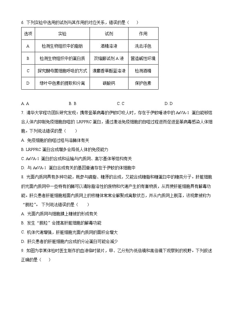 四川省泸州市泸县五中2023-2024学年高一下学期开学考试生物试题(Word版附解析)02
