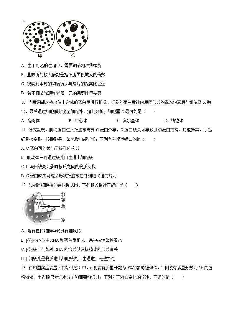 四川省泸州市泸县五中2023-2024学年高一下学期开学考试生物试题(Word版附解析)03