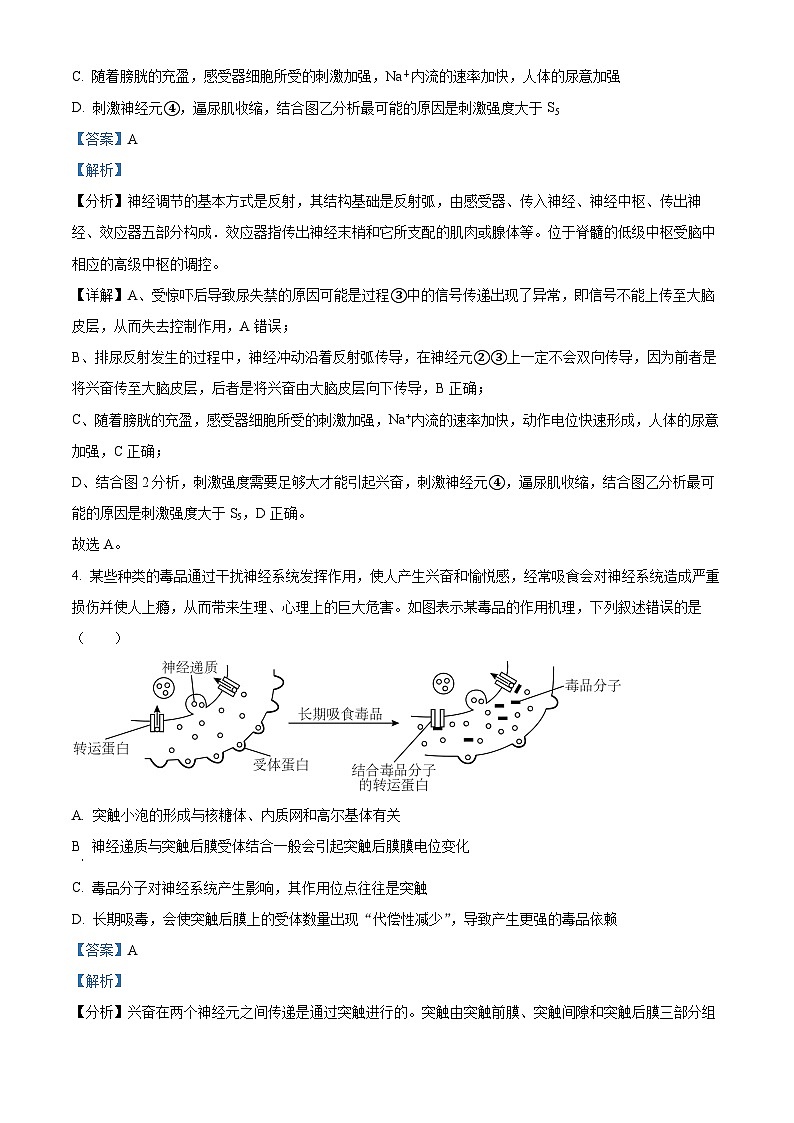 重庆市万州第二高级中学2023-2024学年高二下学期开学考试生物试题 Word版含解析第3页