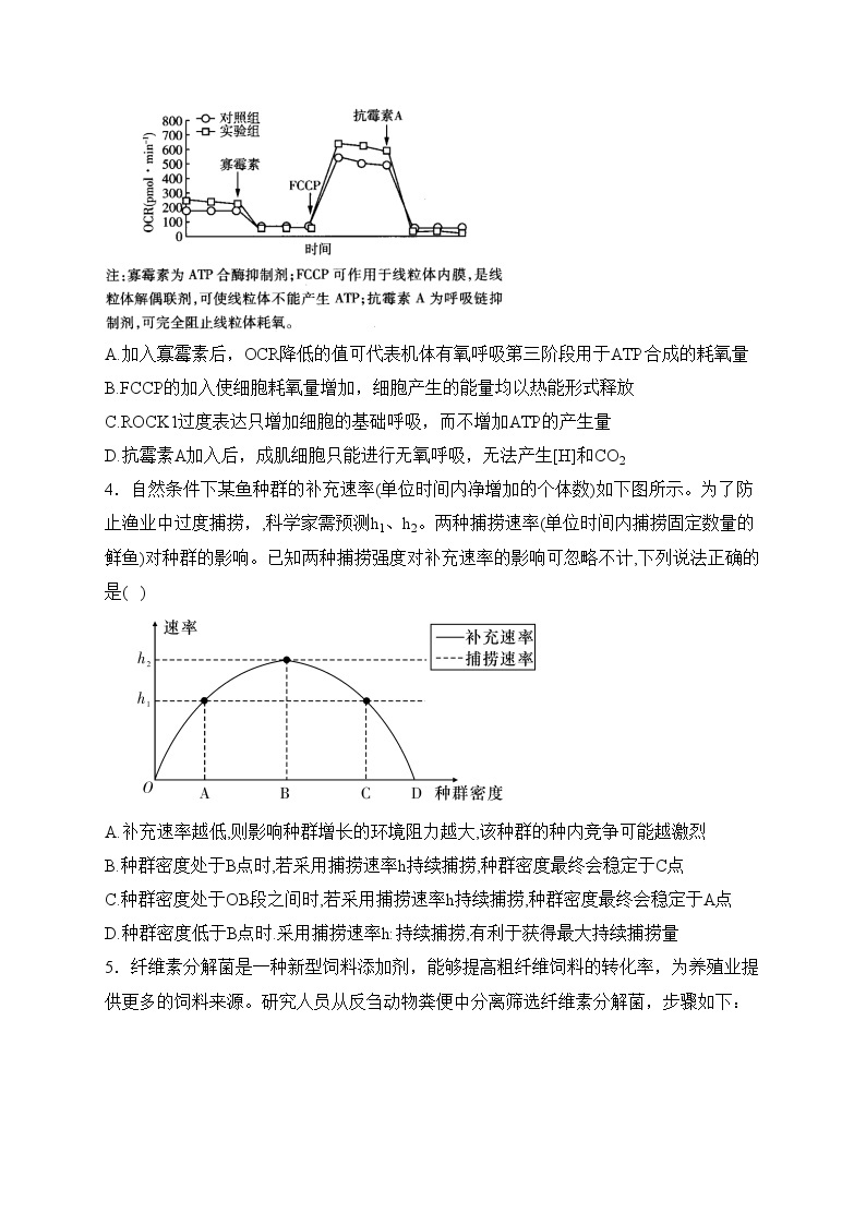 湖南省长沙市长郡中学2024届高三下学期寒假作业检测(含答案)02