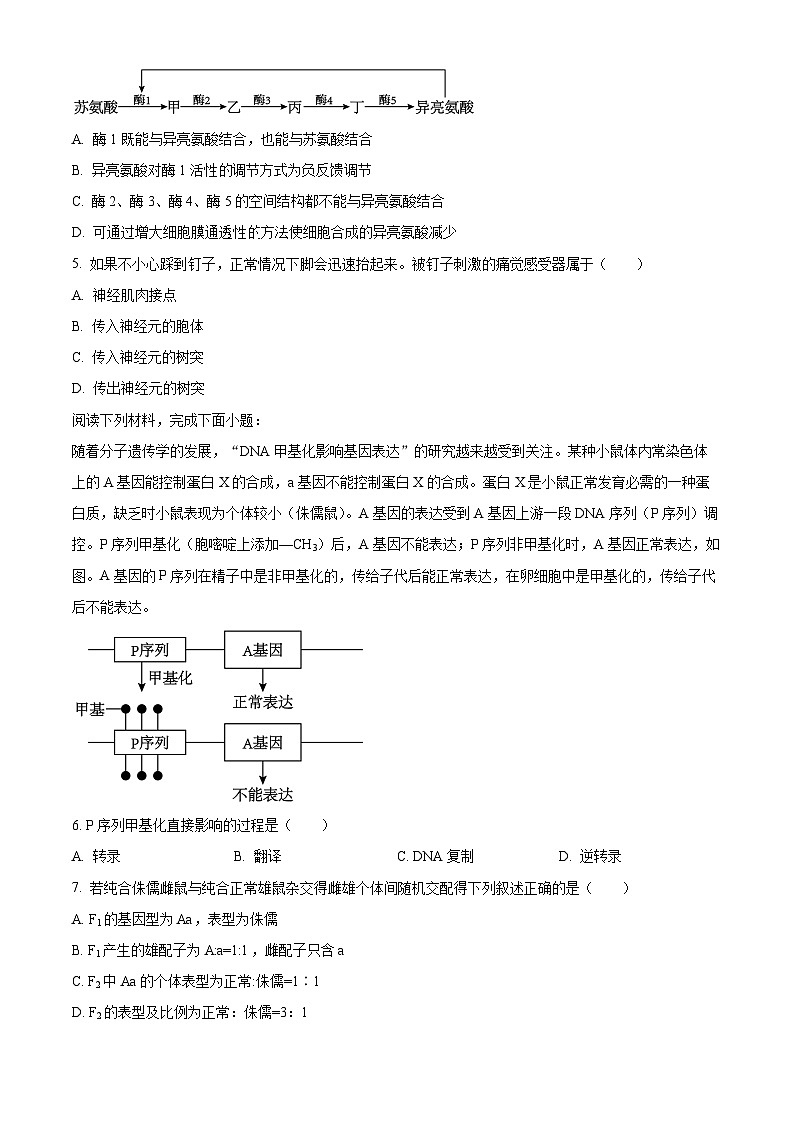 浙江省浙南名校2023-2024学年高二下学期开学考试生物试题无答案第2页