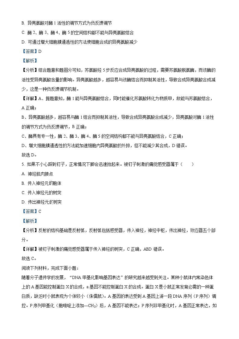 浙江省浙南名校2023-2024学年高二下学期开学考试生物试题含解析第3页