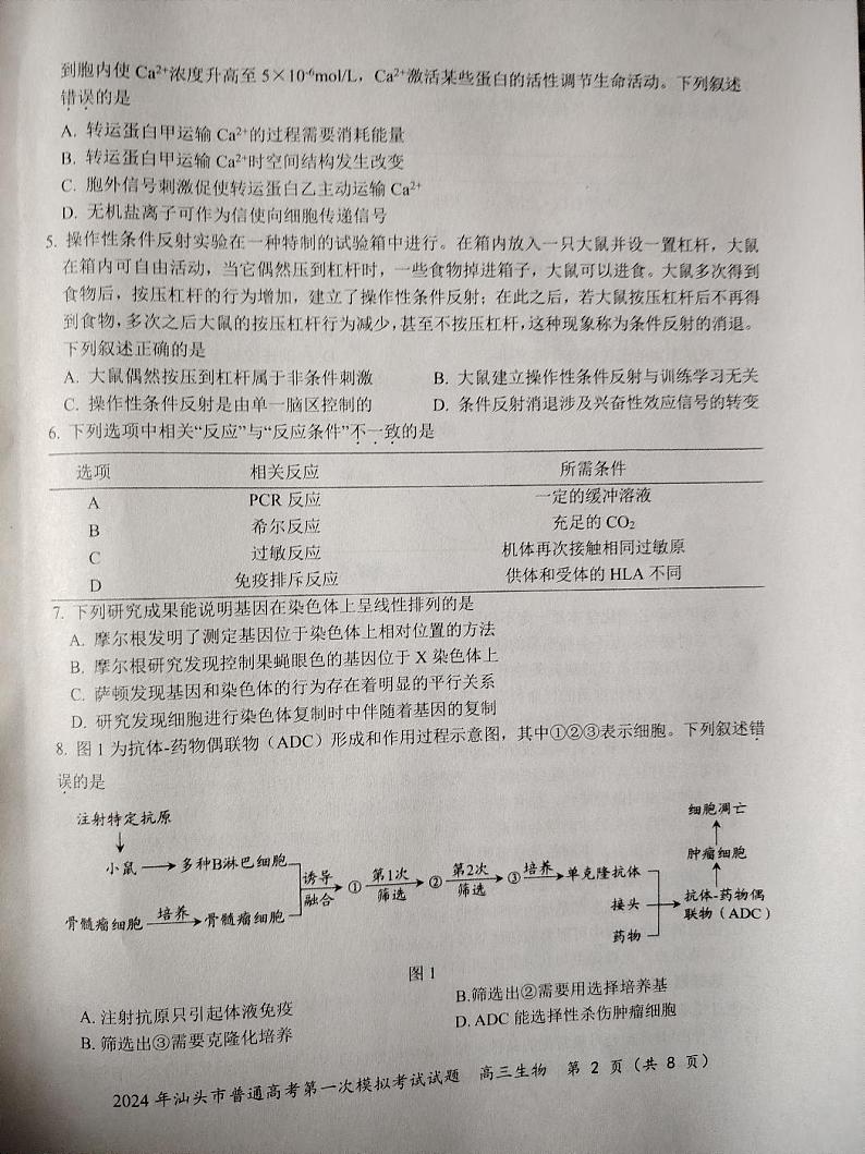 2024届广东省汕头市普通高考第一次模拟考试生物试卷第2页