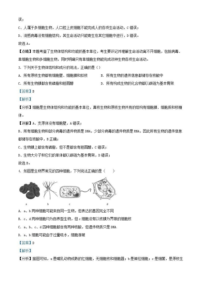 湖北省武汉市2023_2024学年高一生物上学期10月月考试题含解析02