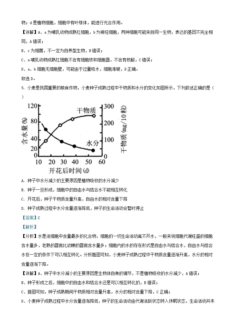 湖北省武汉市2023_2024学年高一生物上学期10月月考试题含解析03