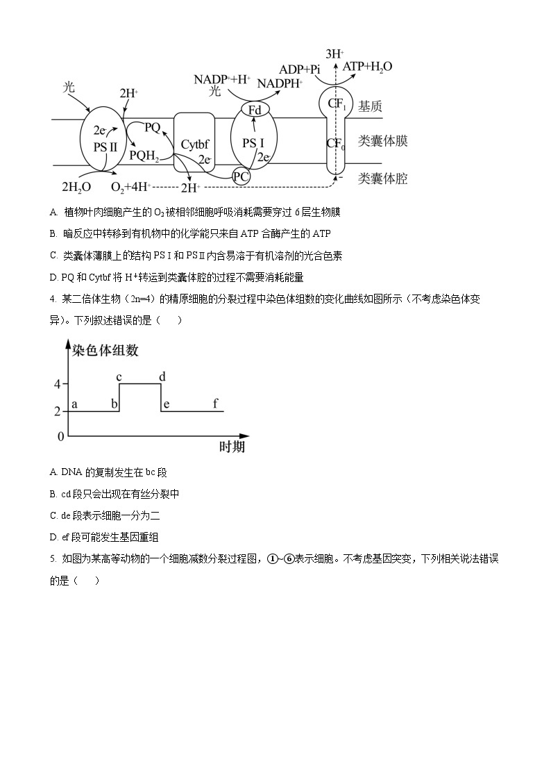 2024贵阳一中高三下学期一模考试生物含解析02