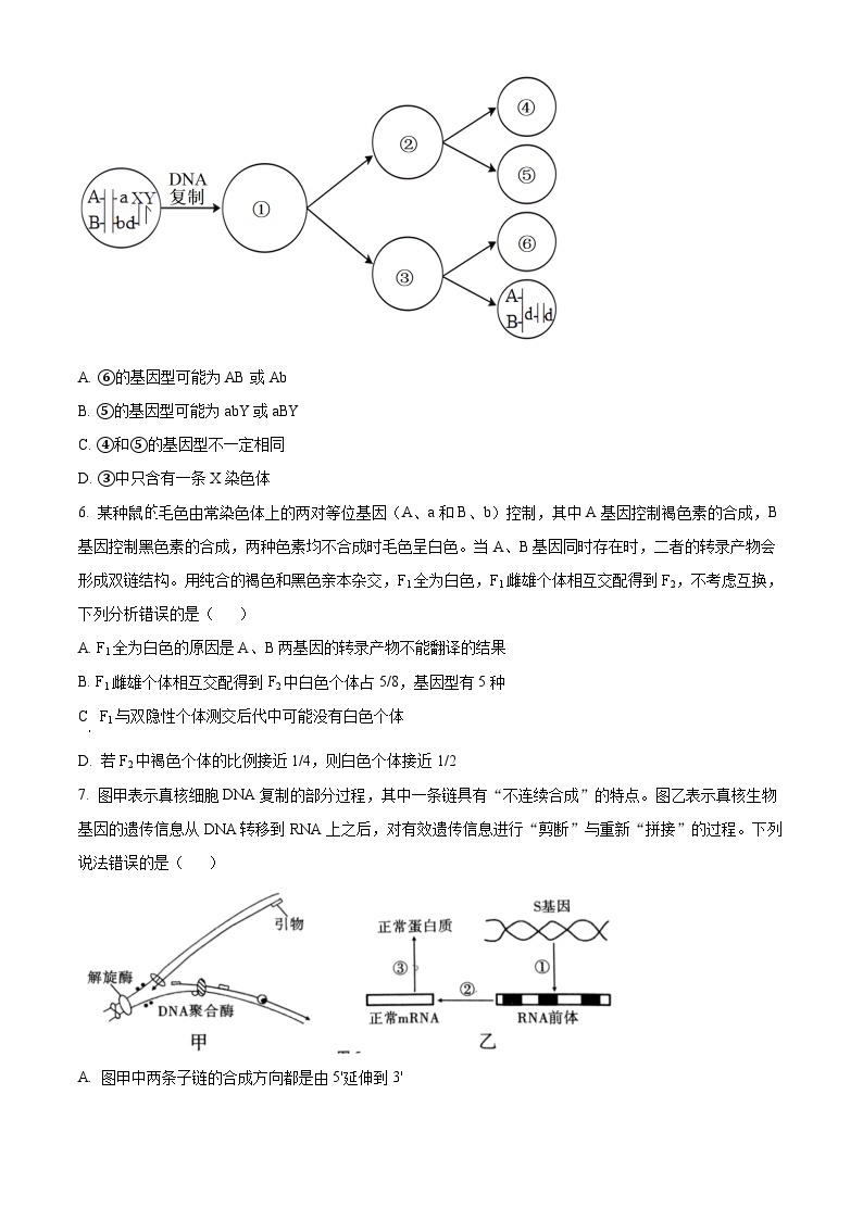 2024贵阳一中高三下学期一模考试生物含解析03