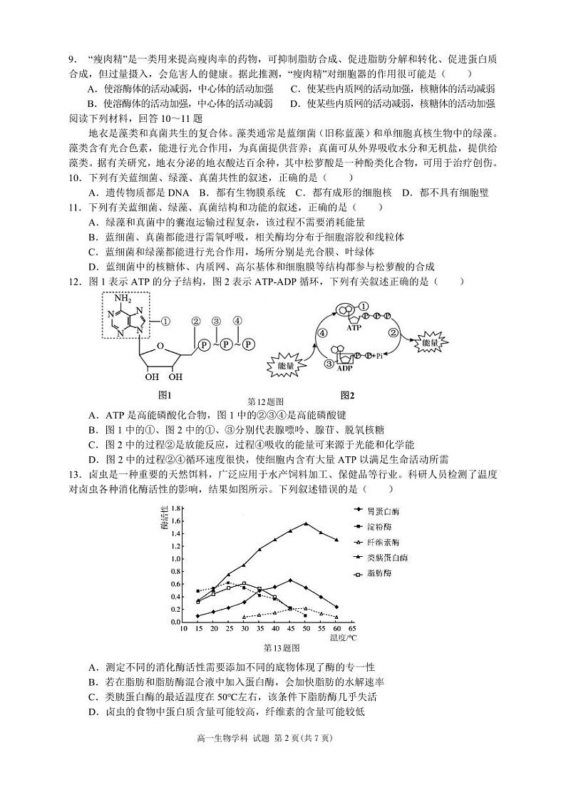2024浙江省浙南名校联盟高一下学期开学考试生物PDF版含答案02