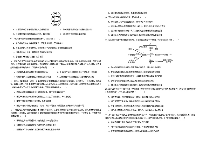 湖北省黄冈市黄梅县育才高级中学2023-2024学年高一下学期3月月考生物试题第2页