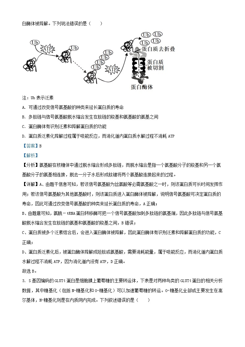 湖南省2023_2024学年高三生物上学期月考二试题含解析02