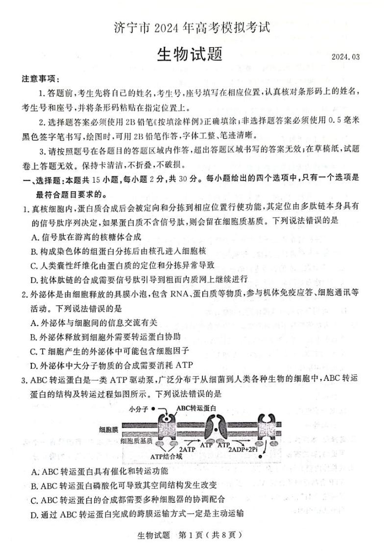 2024济宁高三下学期3月一模考试生物PDF版含答案01