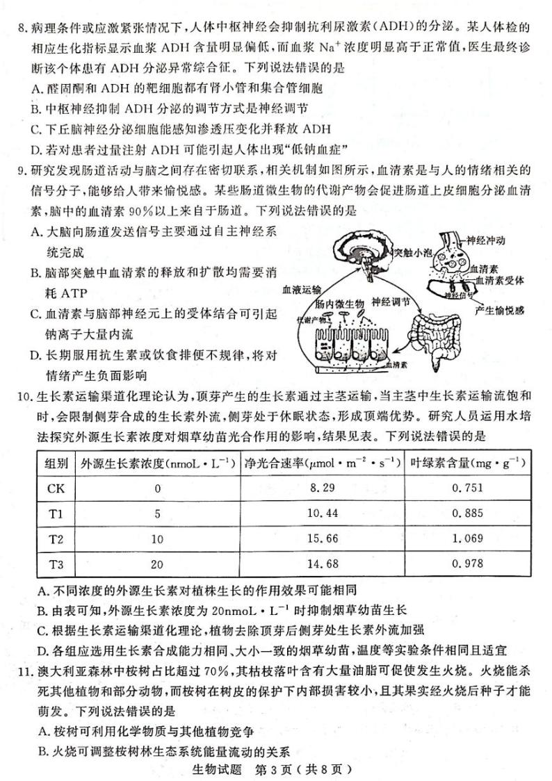2024济宁高三下学期3月一模考试生物PDF版含答案03