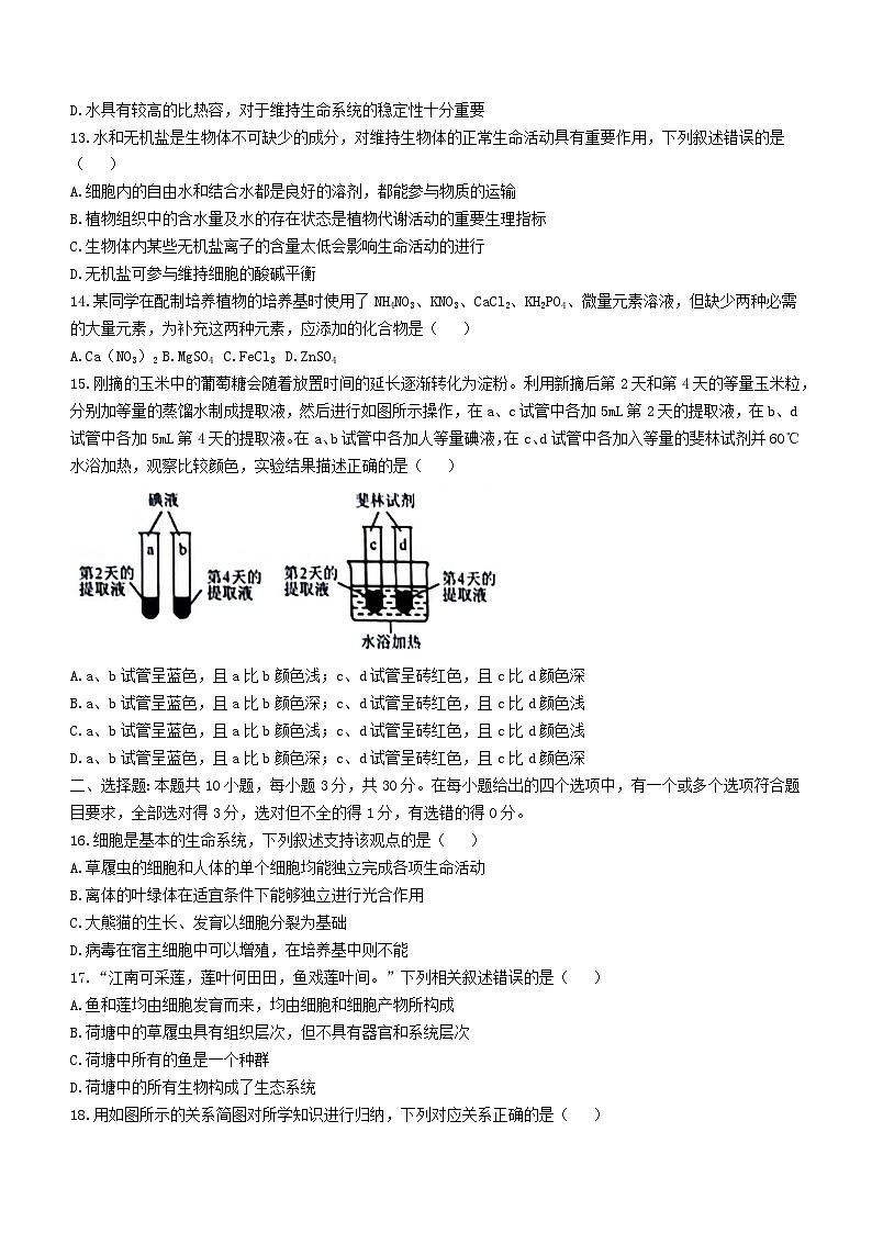遼寧省名校聯(lián)盟2023_2024學(xué)年高一生物上學(xué)期10月聯(lián)合考試試題第3頁