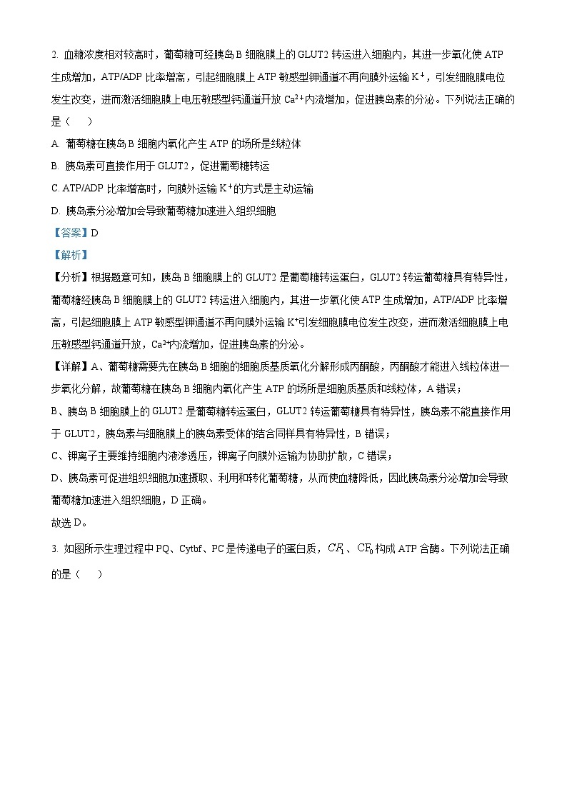 贵州省贵阳市第一中学2023-2024学年高三下学期一模考试 生物答案02