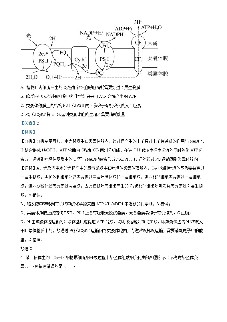 贵州省贵阳市第一中学2023-2024学年高三下学期一模考试 生物答案03