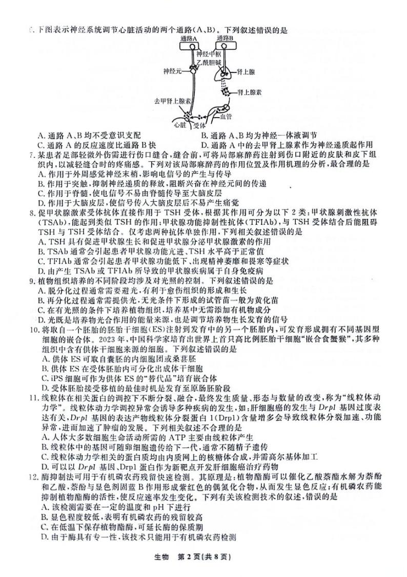 辽宁省名校联盟2023-2024学年高三下学期3月联合考试生物卷02