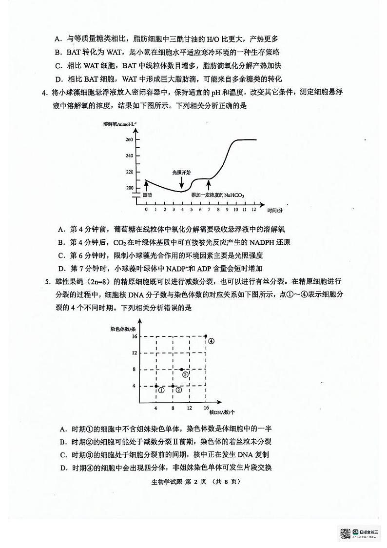 安徽省“江南十校”2024届高三下学期3月联考生物试卷第2页