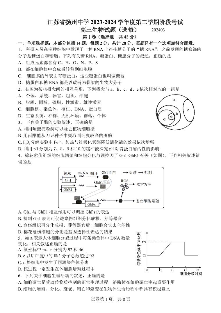 江苏省扬州zx2023-2024高三下学期开学考试生物试卷及答案