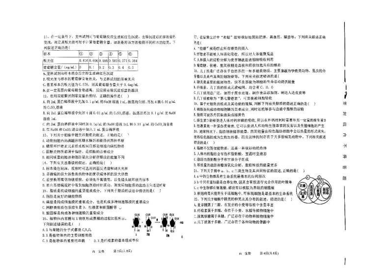 山西省太原市2023_2024学年高一生物上学期10月月考试题pdf无答案02