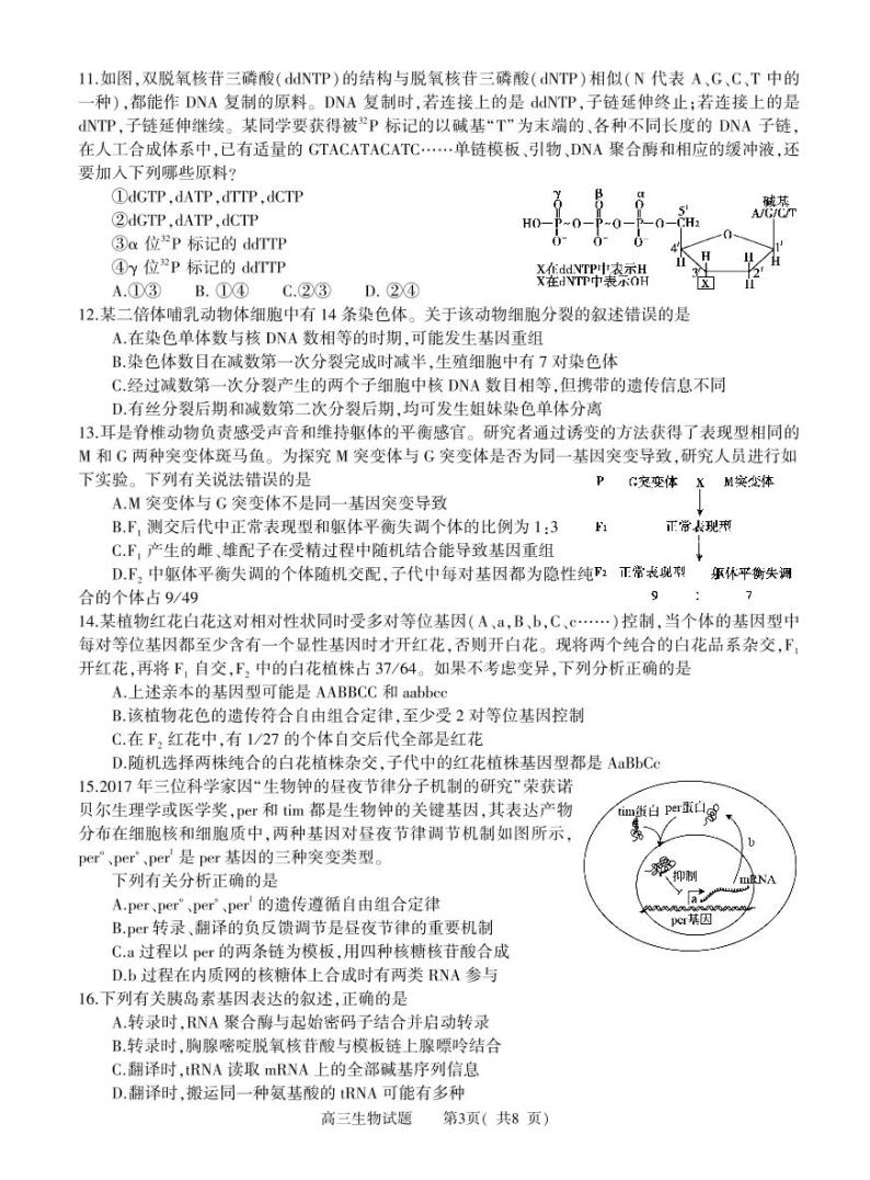 2022-2023学年信阳市普通高中高三二模生物试题及答案03