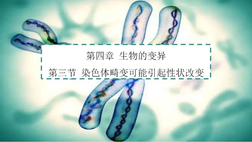 2023-2024學年浙科版（2019）必修2 4.3染色體畸變可能引起性狀改變（第1課時）課件第1頁