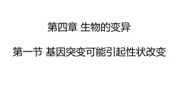 2023-2024学年浙科版（2019）必修2 4.1基因突变可能引起性状改变 课件