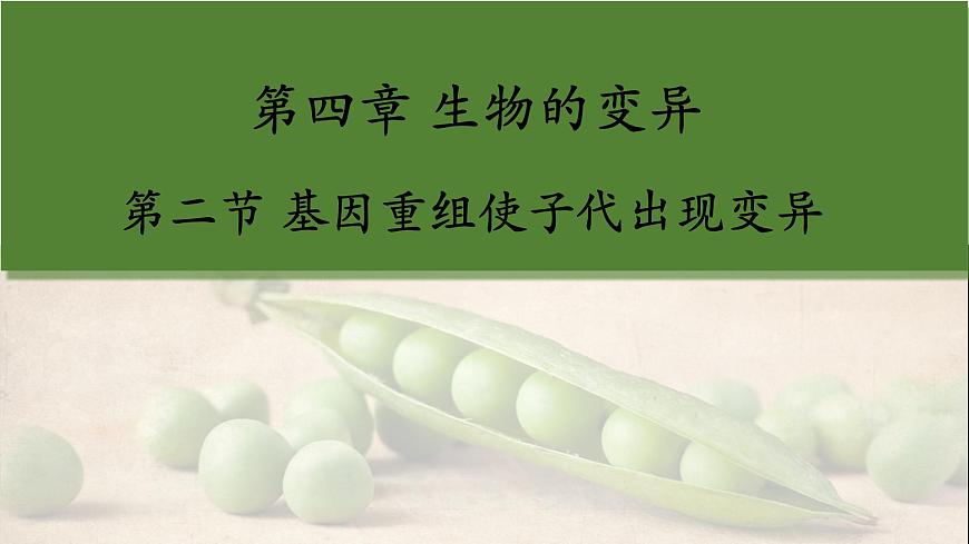 2023-2024學(xué)年浙科版（2019）必修2 4.2基因重組使子代出現(xiàn)變異  課件第1頁
