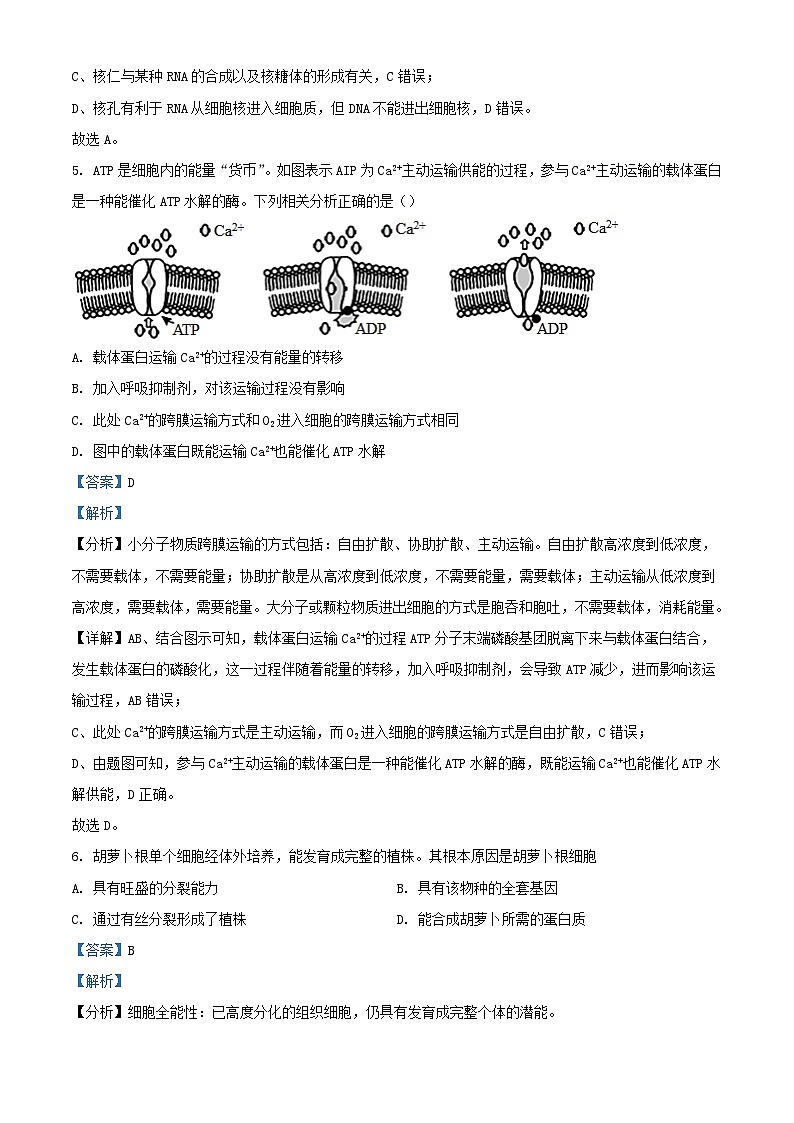 四川省南充市2023_2024学年高二生物上学期10月月考试题含解析03