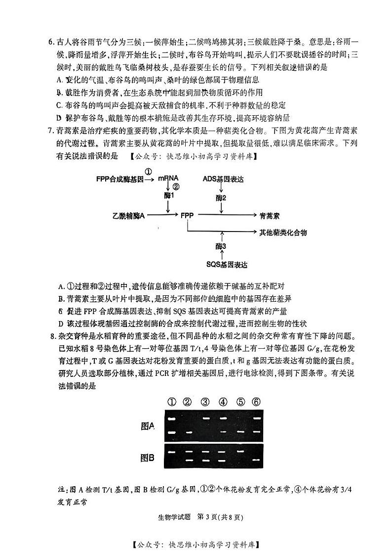 合肥一模高三生物试卷第3页