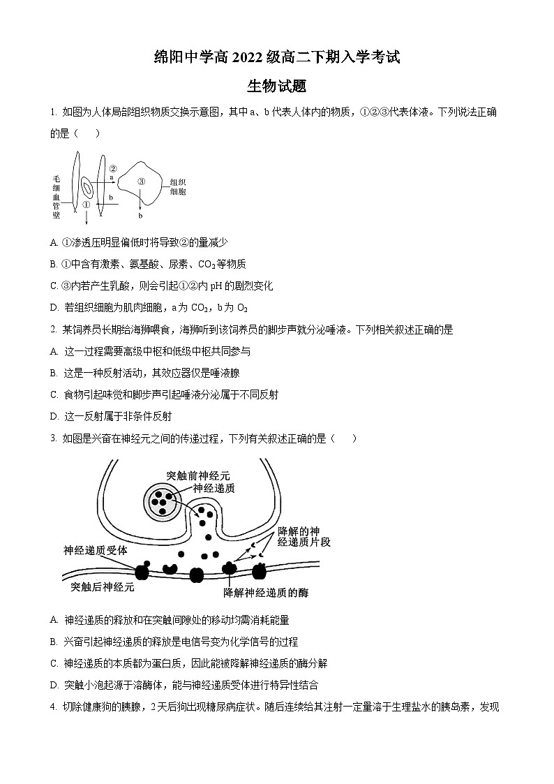 四川省绵阳市绵阳中学2023-2024学年高二下学期开学生物试题(原卷版+解析版)01
