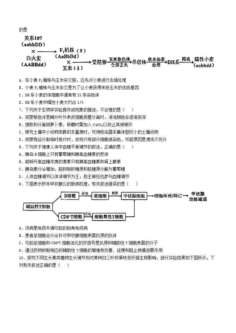 2023届江苏省苏北四市(淮宿连徐)高三第一次调研考试生物试题02