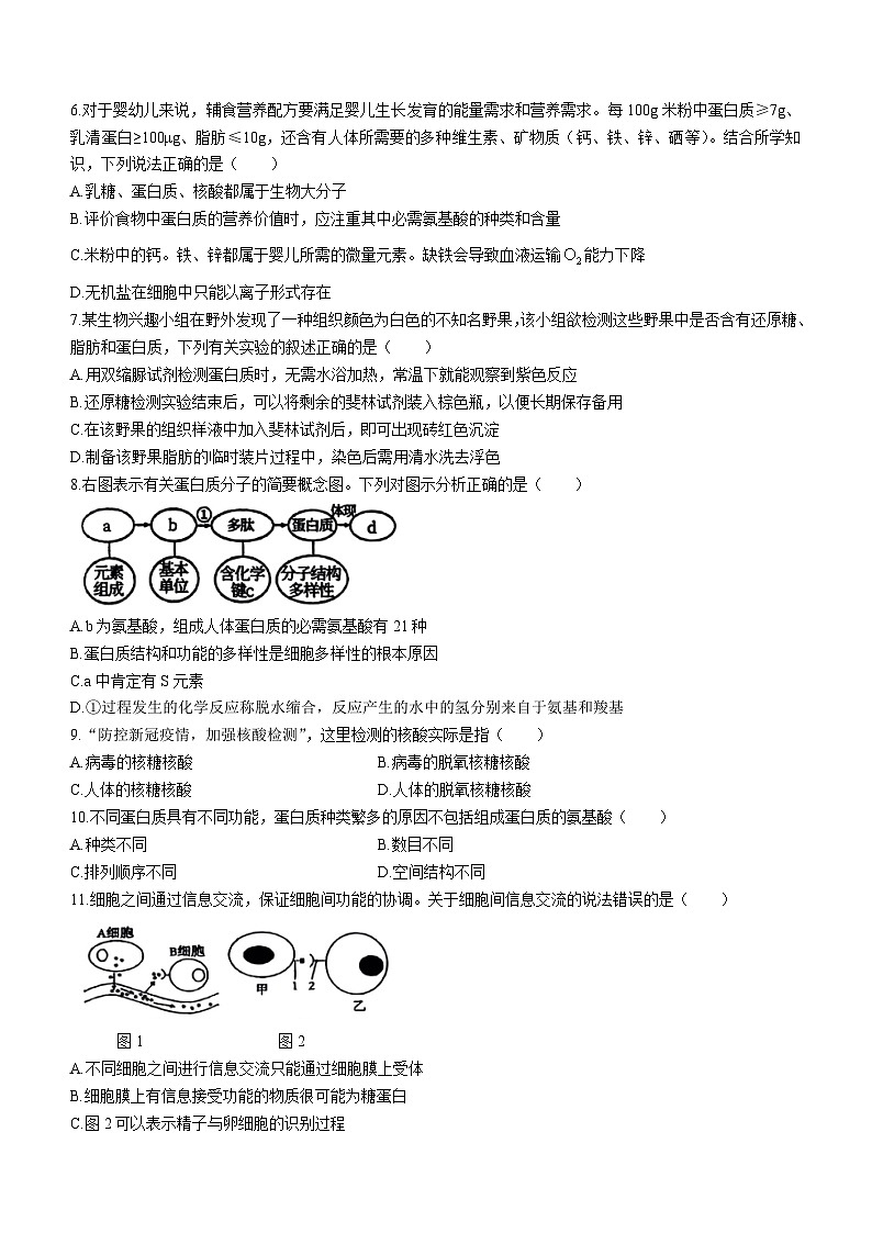广西壮族自治区防城港市2022-2023年高一上学期期末教学质量检测生物试题(无答案)第2页
