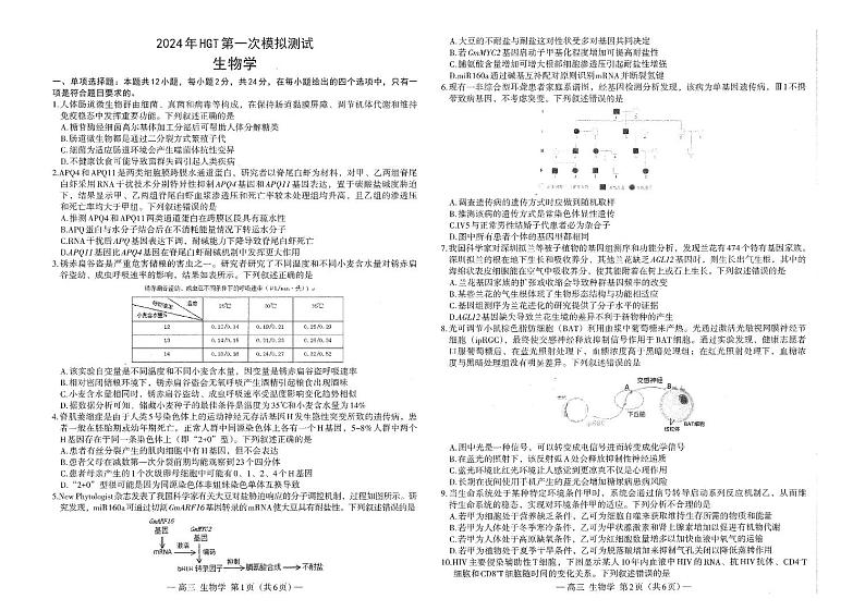 2024届江西省南昌市一模生物试题第1页