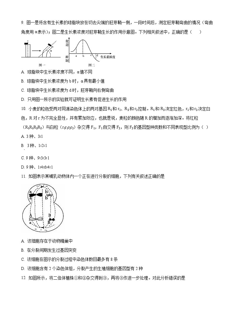 海南省海口市农垦中学2023-2024学年高三上学期期末生物试题B卷(原卷版+解析版)03