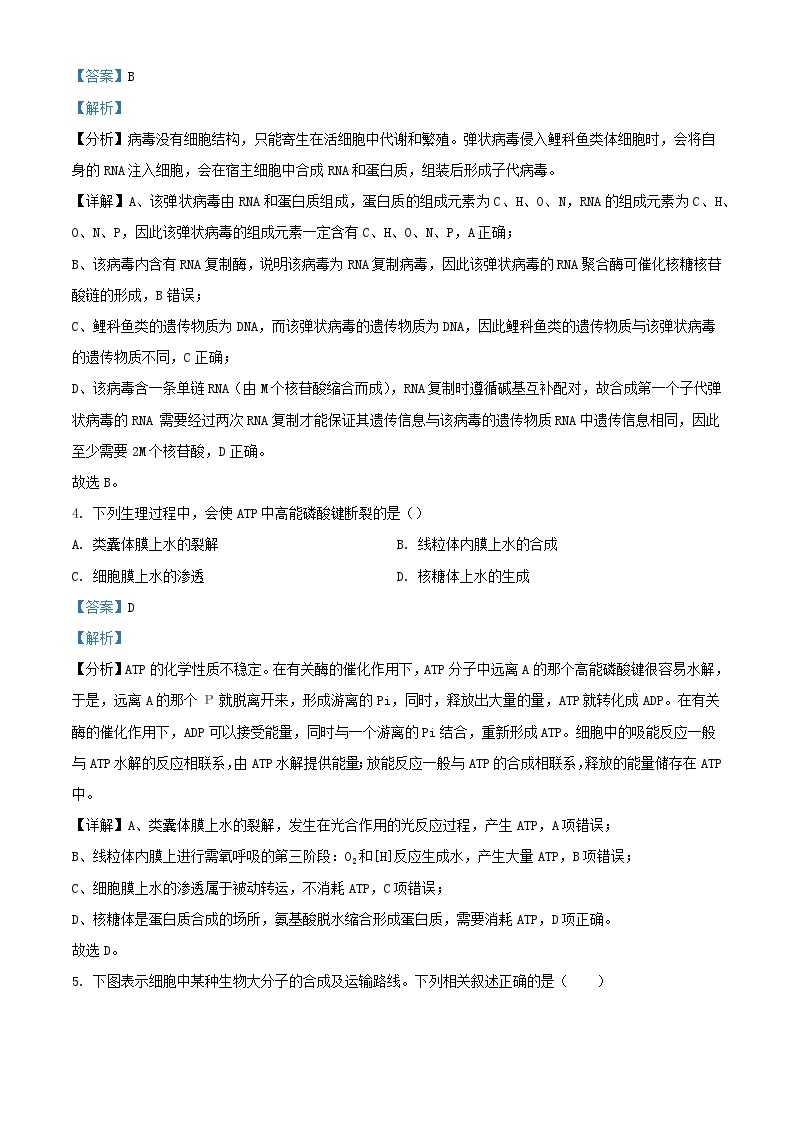 天津市武清区2023_2024学年高三生物上学期开学检测试题含解析02
