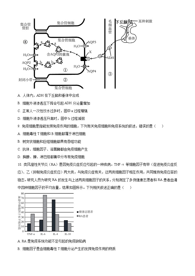 2024眉山仁寿县两校高二下学期开学联考试题生物含解析第3页