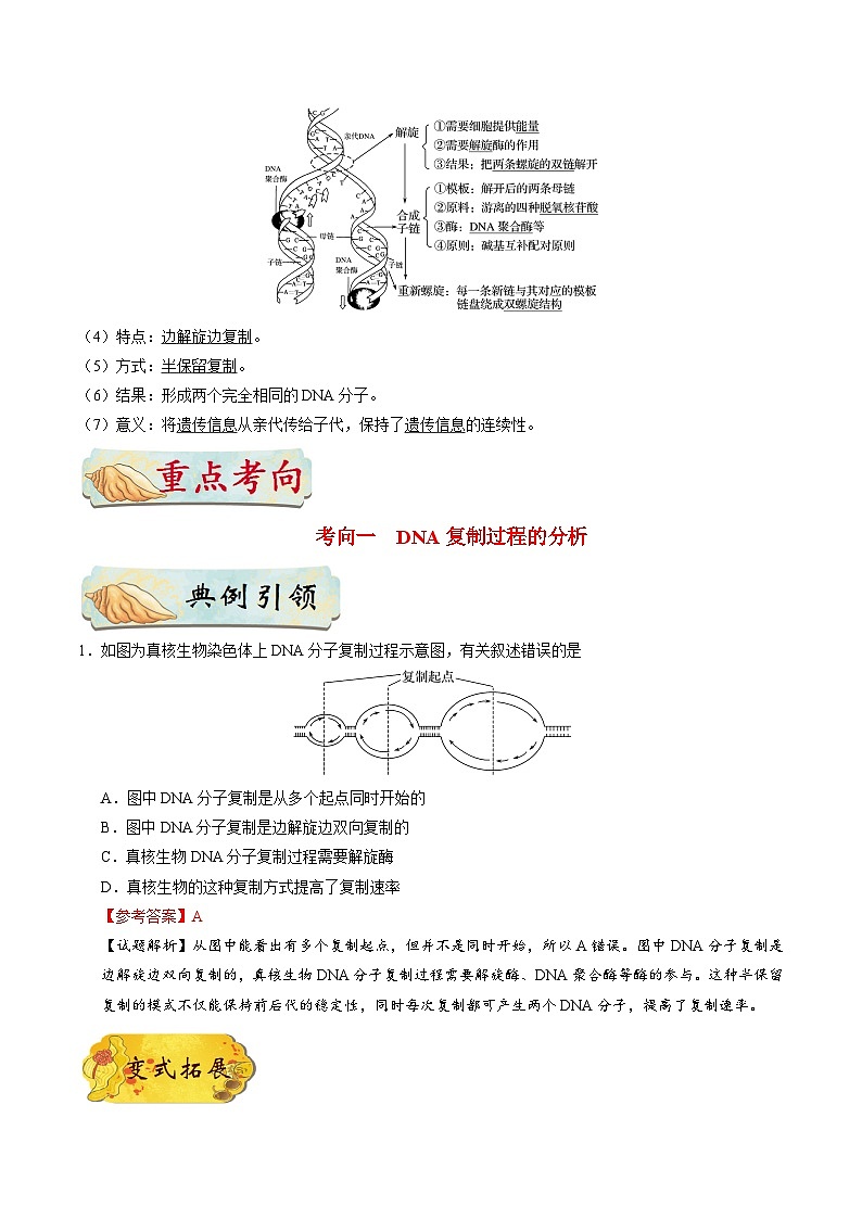 最新高考生物考点一遍过讲义 考点29 DNA的复制第2页