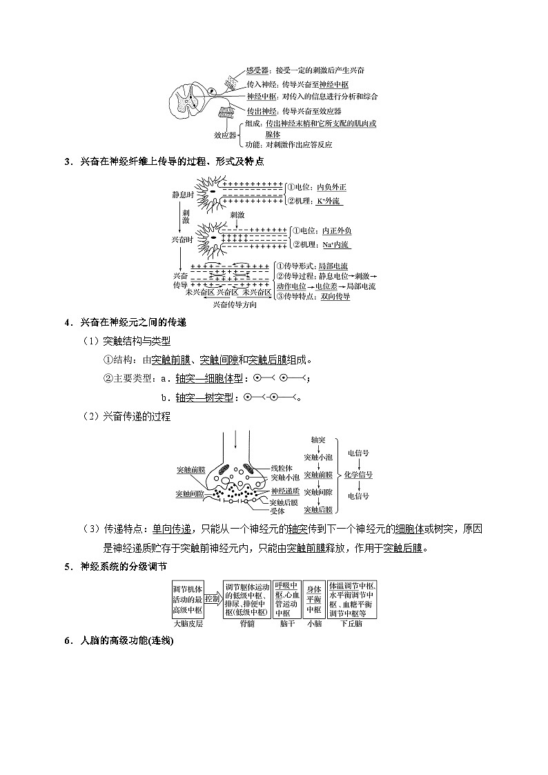 最新高考生物考点一遍过讲义 考点48 通过神经系统的调节02