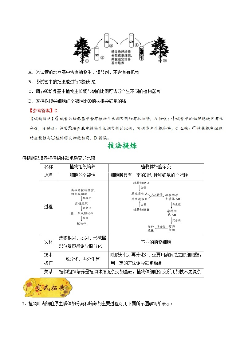 最新高考生物考点一遍过讲义 考点82 植物细胞工程03