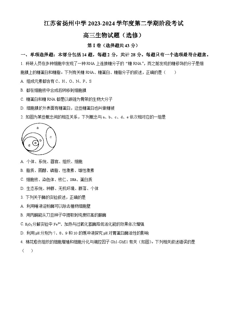 江苏省扬州中学2023-2024学年高三下学期3月限时训练生物试卷(Word版附解析)01