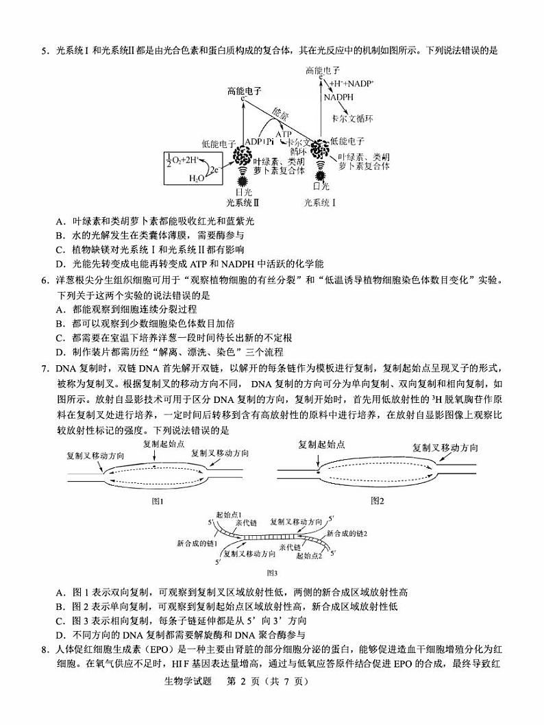 湖北省2023_2024高三生物上学期11月期中联考试题pdf第2页