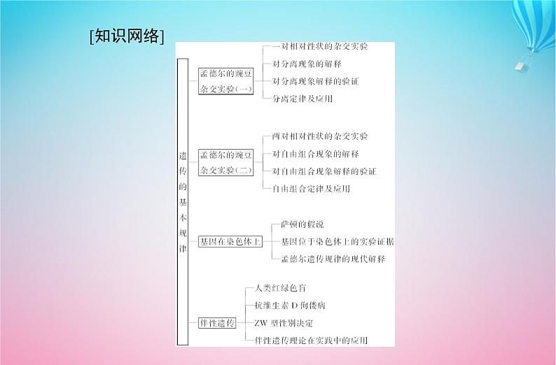 2024届高考生物学业水平测试复习专题九遗传的基本规律课件第2页