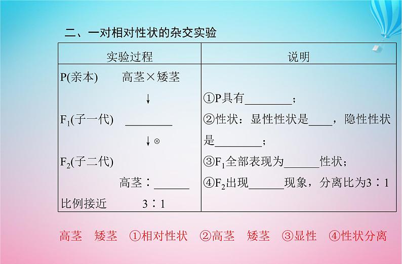 2024届高考生物学业水平测试复习专题九遗传的基本规律课件第5页