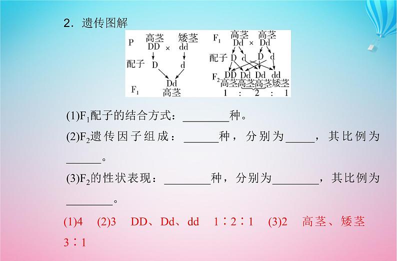 2024届高考生物学业水平测试复习专题九遗传的基本规律课件第7页