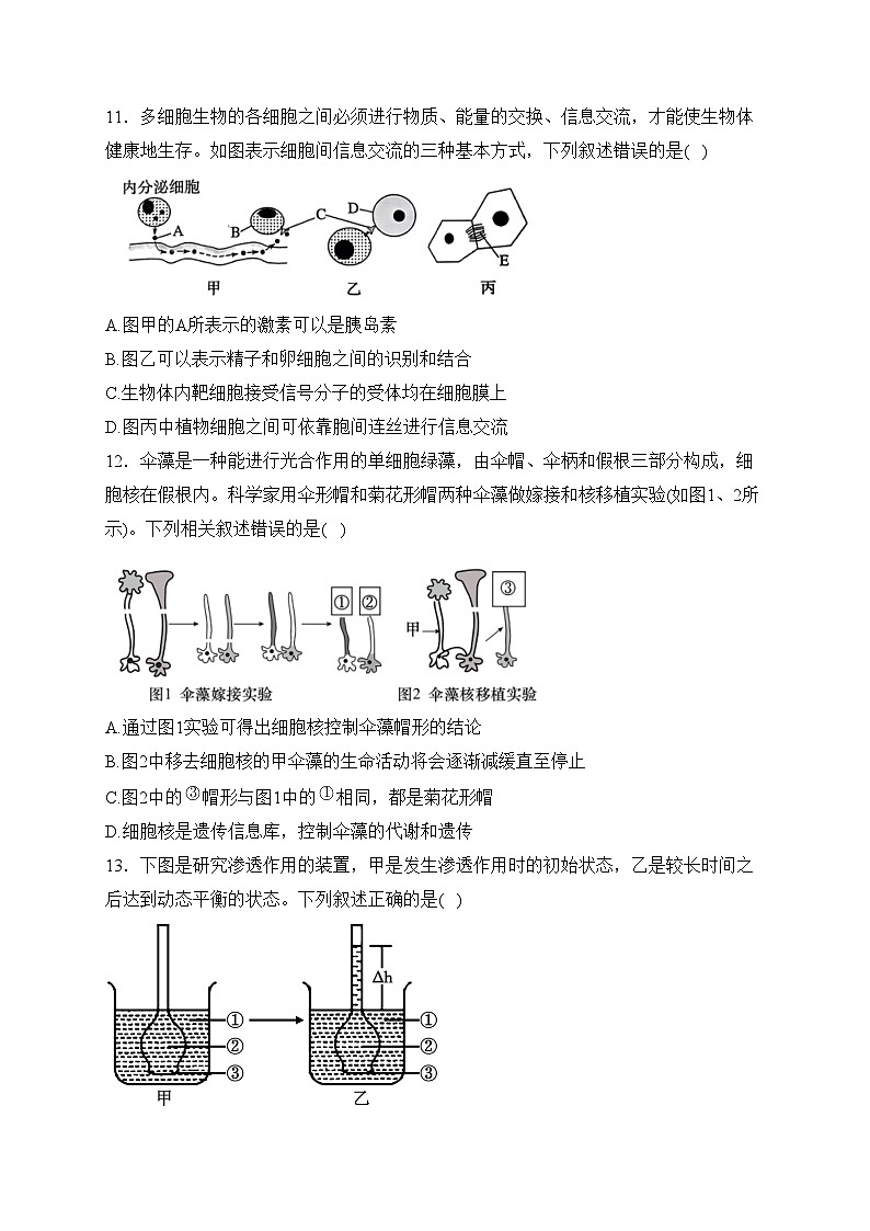 四川省绵阳南山中学2023-2024学年高一下学期入学考试生物试卷(含答案)第3页