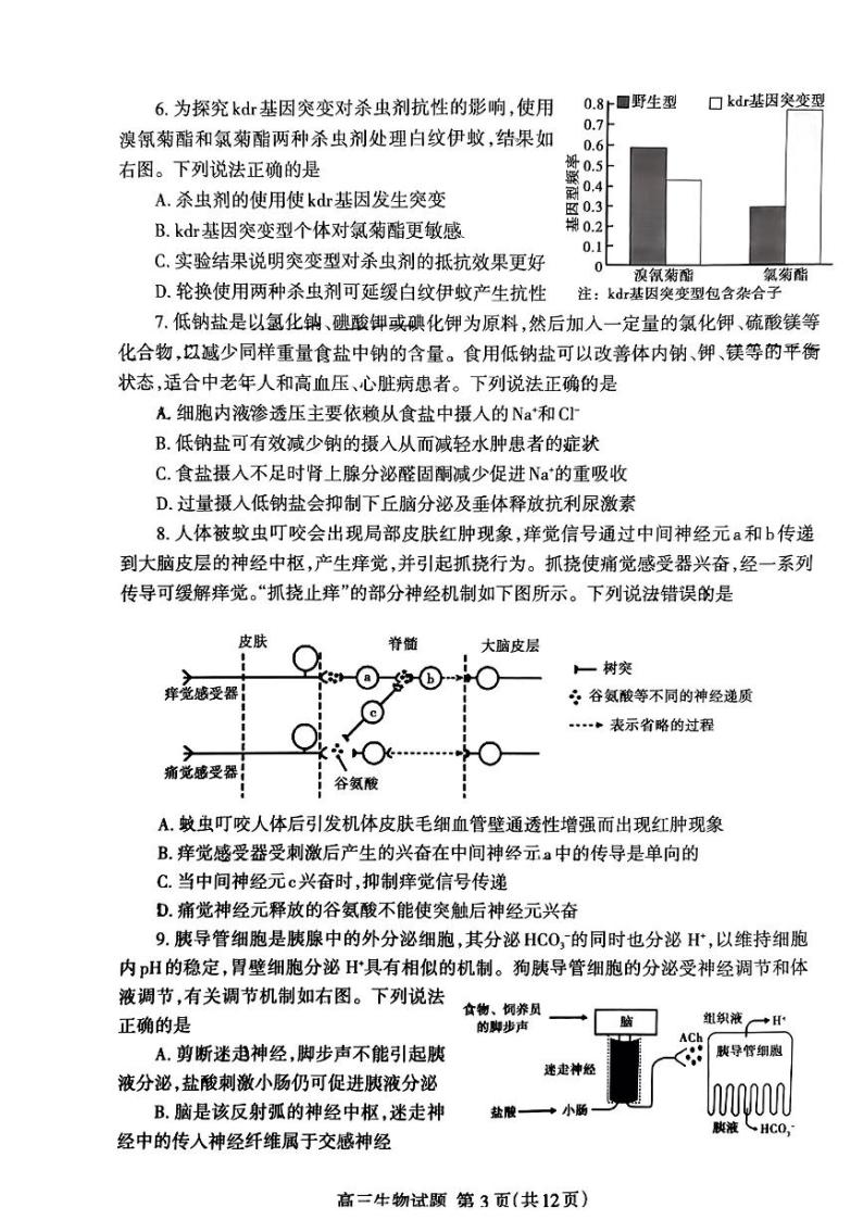 2024泰安高三下学期3月一轮检测（泰安一模）生物PDF版含答案03
